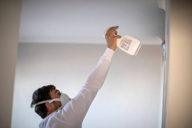 Best DIY Mold Remediation Support Services in Mion, AR