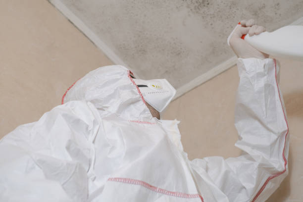 Best HVAC Mold Remediation in Mion, AR