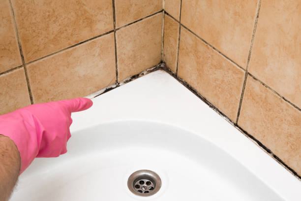 Marion, AR Mold Remediation Company
